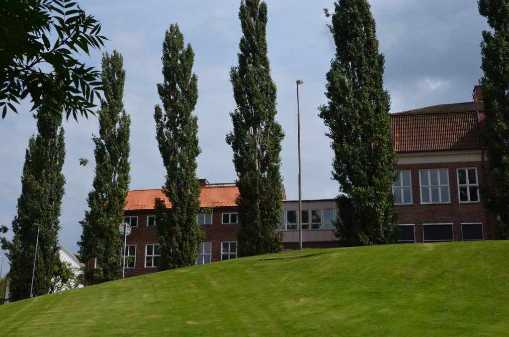 Stenbocksskolan med gräsytor och träd i förgrunden